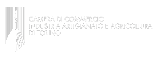 camera commercio torino