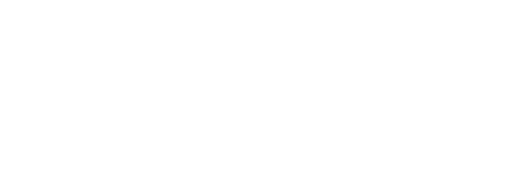 citta di torino